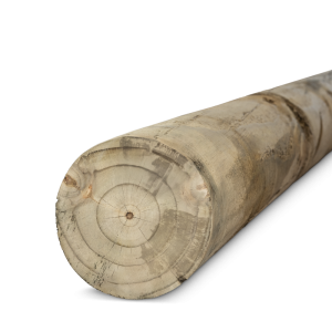 POSTE PINO IMP CALIB 160mm x 3.00m