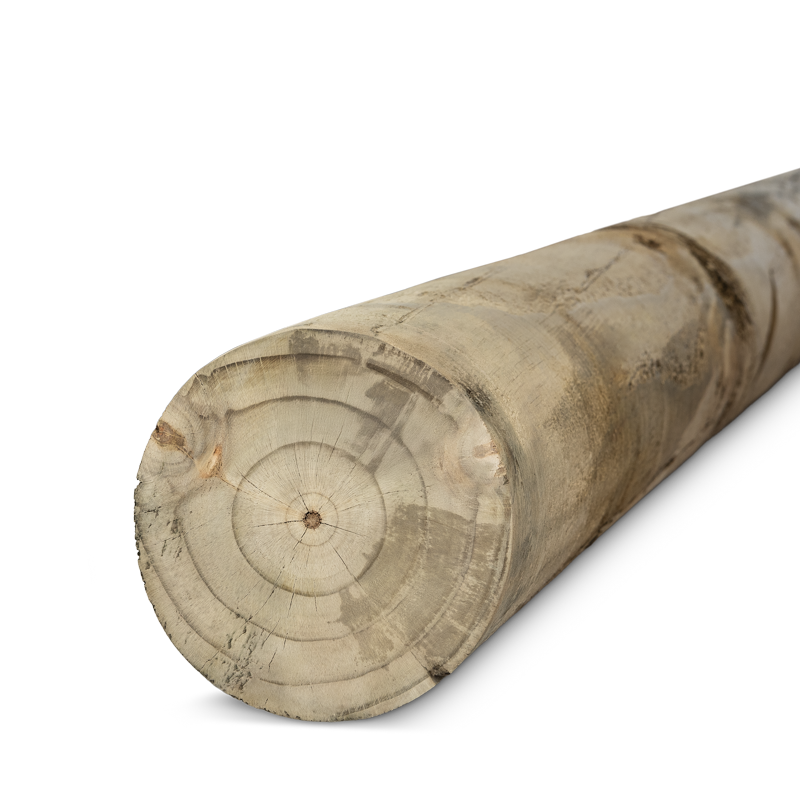 POSTE PINO IMP CALIB 160mm x 3.00m
