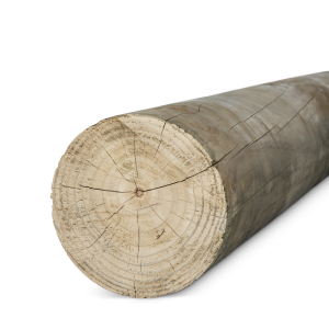 POSTE PINO IMP CALIB 220mm x 4.00m