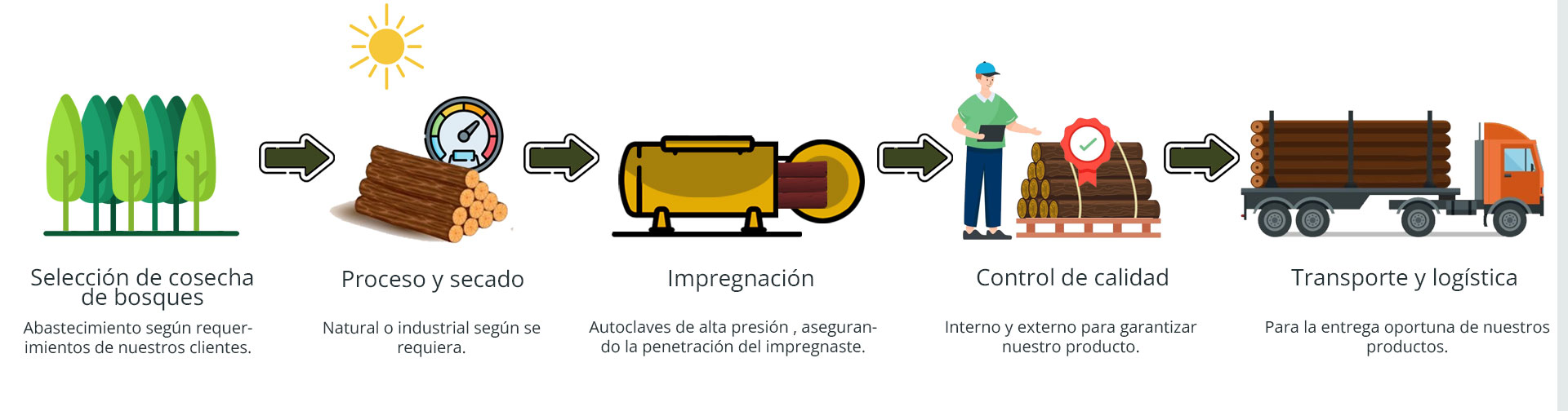 bnrProceso