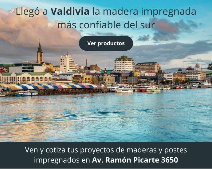 Nuevo local Valdivia