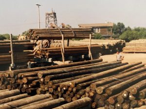 Preserva histórico planta